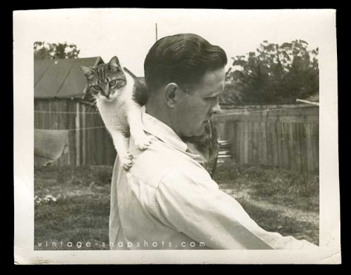 Vintage photo of a cat latching on to a man's shoulder.