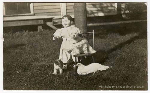 Eerie doll presides over animal menagerie pose