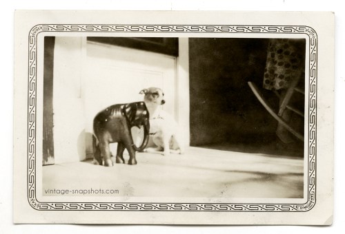 Pretty, abstract shot of a small dog, an elephant figurine, and a view of a woman's leg and part of a rocking chair