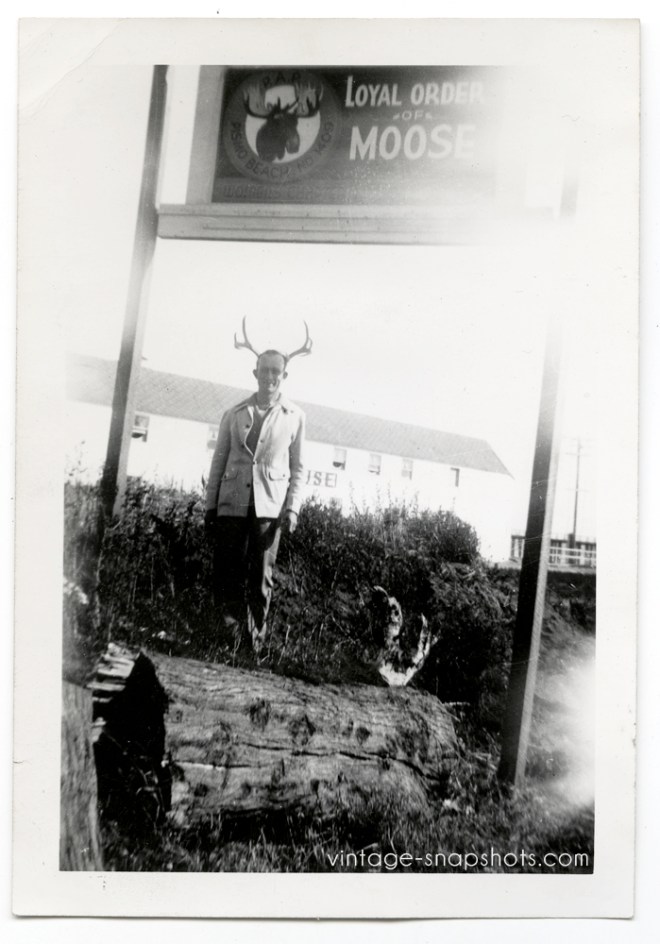 Funny vintage snapshot photo of man with moose horns by "Order of Moose" sign